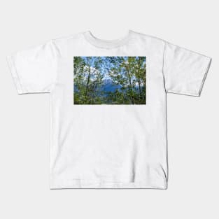 Colorado Mountain 3 Kids T-Shirt